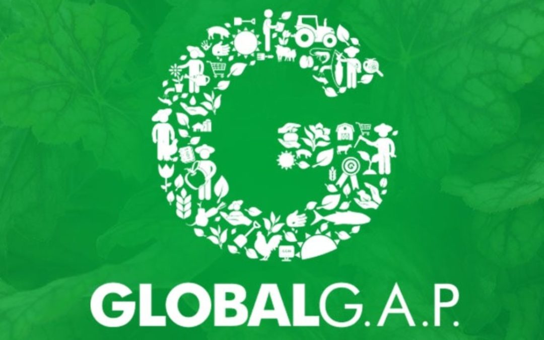 Interpretación y Análisis del Protocolo Global Gap (Ifa Versión 5.0).